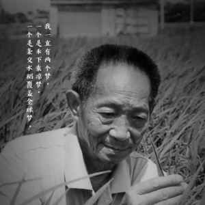 “杂交水稻之父”袁隆平院士去世 享年91岁